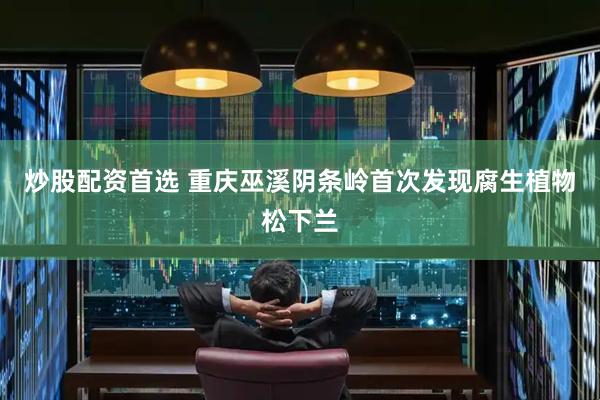 炒股配资首选 重庆巫溪阴条岭首次发现腐生植物松下兰